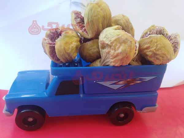 استهبان شهرستانی حاصلخیز و گرمسیری در استان فارس ایران است که تولید کننده نهال انجیر میباشد. بیشتر مردمان این منطقه به تولید انجیر مشغول هستند. به تبع به دلیل حجم بالای تولید این منطقه کارخانه انجیر در استهبان زیاد است. این کارخانجات بایست به موقع انجیرهای تولیدی را خشک کرده و یا بسته بندی نمایند. ب ...